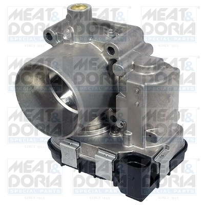 Throttle Body
